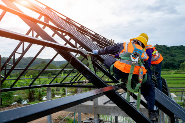 Best Shingle Roofing Installation  in Sterling City, TX